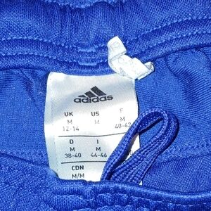 Adidas Athletic pants